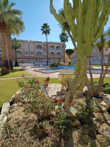 a garden with a cactus and flowers in front of a building at Dúplex El Divino in Los Alcázares