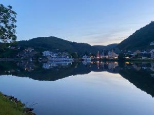 a large body of water with buildings and a city at Villa Bulla-ÿ in Bullay