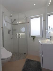 a bathroom with a shower and a toilet and a sink at Ferienhaus Kuhweid in Drochtersen
