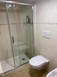a bathroom with a shower and a toilet at Casa dell'uliveto in Albettone +20 photos