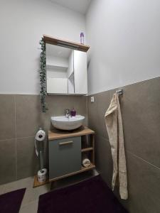 a bathroom with a sink and a mirror at Jmr in Uelzen +22 photos
