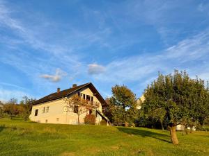a house on a grassy hill with a tree at Ferienhaus "Kleine Auszeit" in Tieschen