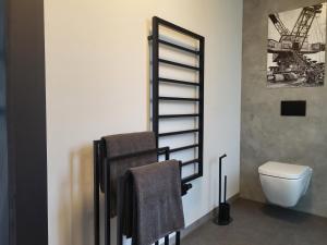 a bathroom with a toilet and a picture on the wall at Apartment Schlossterrassen 8a in Pouch