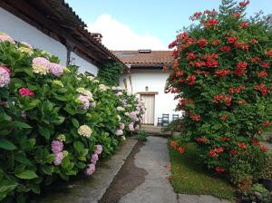 a garden with flowers on the side of a house at Lokate 5 Habitaciones in Aia +6 photos