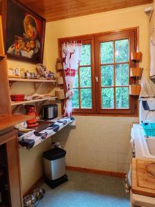 a kitchen with a counter with shelves and a window at Chalet Vététiste in Laveissière +23 photos