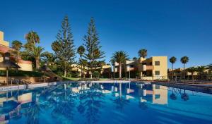 a large swimming pool at a resort with palm trees at CasaFelix in Corralejo