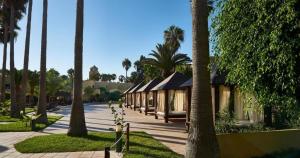 a row of buildings with palm trees in a park at CasaFelix in Corralejo