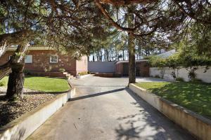 a driveway in front of a house with trees at Moradia Pinheiro Manso in Apúlia