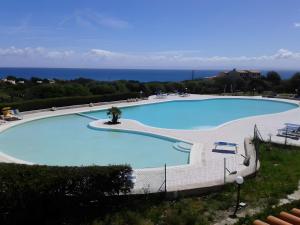 a large swimming pool with the ocean in the background at Monolocale Sergi- Piscina In Comune in Stintino +14 photos