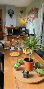 a wooden table with potted plants on top of it at Chambre D'hôte - Le Chalêt in Ygrande