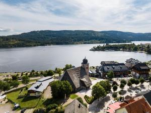 an aerial view of a town with a church and a lake at Schwarzwaldglück Loft in St. Blasien