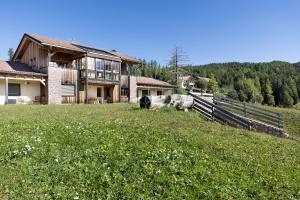 two cows laying in a field in front of a house at Lexn Radein in Redagno