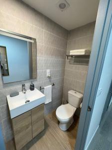 a bathroom with a toilet and a sink and a mirror at Rincon del puerto I in A Guarda