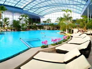 a swimming pool in a mall with a glass ceiling at Ferienhaus Völkle in Hinterzarten
