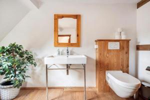 a bathroom with a sink and a toilet and a mirror at Hof Hohe Eichen in Göhrde +26 photos