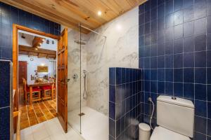a bathroom with a shower and a toilet and blue tiles at Can Bleo in Pollença +28 photos