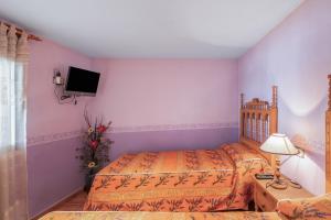 a bedroom with a bed and a tv on the wall at El Rellano in Maluenda