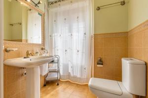 a bathroom with a sink and a toilet and a shower at Lavanda in Hinojares