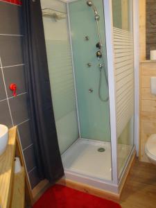 a shower with a glass door in a bathroom at Chambres d'hôtes le génépi in Valdeblore +25 photos