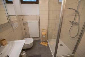 a bathroom with a shower and a toilet and a sink at Scheidegg unterm Kreuzberg in Scheidegg +10 photos
