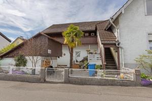 a house with a palm tree in front of it at Stricker in Markelfingen