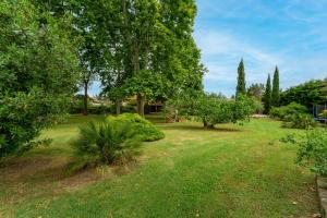 a park with trees and green grass and bushes at Van Gogh in Fourques