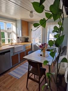 a kitchen with a table and a plant in the foreground at Aarvik organic farm & bakery in Tveit +47 photos