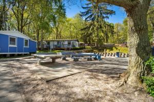 a park with picnic tables and a tree at Bungalow Mary Ann, Bgl 25 in Dranske