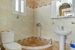 a bathroom with a shower and a toilet and a sink at Studio Telendos in Telendos