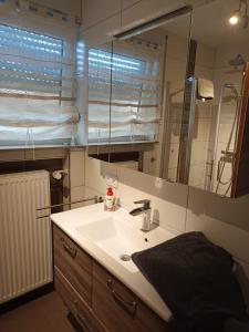 a bathroom with a sink and a mirror at Die Wohnung Stein in Bretzfeld +16 photos