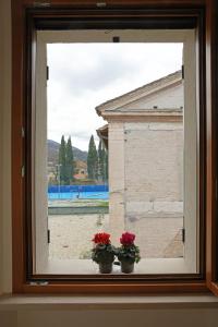two potted flowers sitting on a window sill at Appartamento Torricelli in Fossombrone