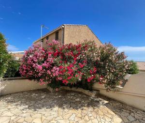 a bush of pink flowers on the side of a building at La Maison sur la côte in Fleury