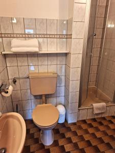 a bathroom with a toilet and a shower at Christianshof in Oppenau +34 photos