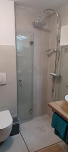 a bathroom with a shower with a toilet and a sink at Ferienunterkünfte Schüle in Leibertingen +12 photos