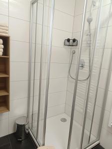 a shower with a glass door in a bathroom at Apart Bergtraum Ried - Typ 1 in Ried im Oberinntal