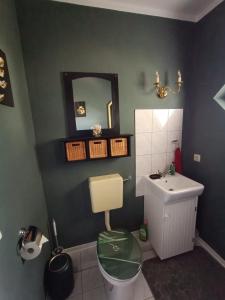a bathroom with a sink and a toilet and a mirror at Hörselberg Apartment in Hörselberg-Hainich +31 photos