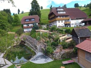 an aerial view of a house and a pond at Ringlihof in Horben
