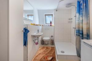 a bathroom with a sink and a toilet and a shower at Ferienwohnung Stella Maris in Carrenzien +18 photos