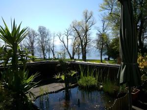 a pond in a garden with plants and an umbrella at Gästehaus Fischerhäusle in Mitten