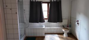 a bathroom with a tub and a toilet and a window at Käfer D in Waldbrunn