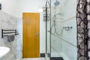 a bathroom with a shower and a wooden door at Ferienwohnung Astrid in Sundern +21 photos
