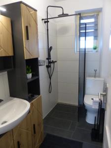a bathroom with a shower and a toilet and a sink at Ferienwohnung in Hof Saale in Hof +2 photos