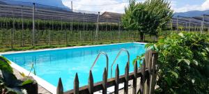 a blue swimming pool next to a fence at Appartment Gut Wendlandt in Bolzano