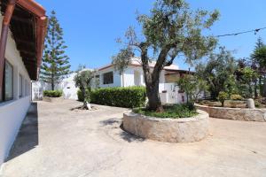 a house with a tree in the middle of a driveway at Bungalow Regina in Otranto