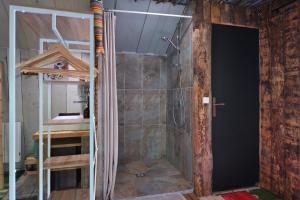 a bathroom with a shower with a glass door at Cabane Myrtille in Arrien-en-Bethmale