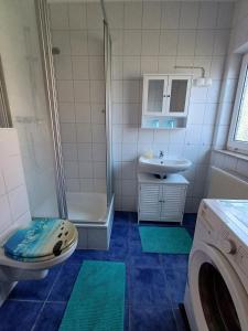 a bathroom with a shower toilet and a sink at Ferienhaus Sonnenschein in Preetz +7 photos