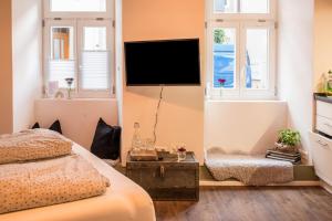 a bedroom with a bed and a flat screen tv at Fewo Sankt Johann I in Konstanz