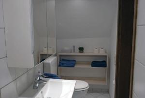 a bathroom with a toilet and a sink and a mirror at Ferienwohnung Scheffelhaus in Gengenbach +9 photos