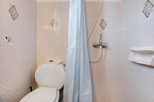 a bathroom with a toilet and a shower at Areti Orfeas Budget Studio in Vasilikos