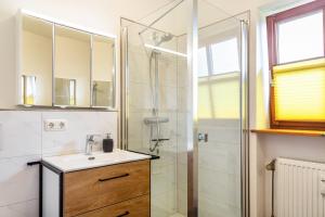 a bathroom with a sink and a shower at Komfortwohnung mit Pool und Sauna in Hauzenberg +17 photos